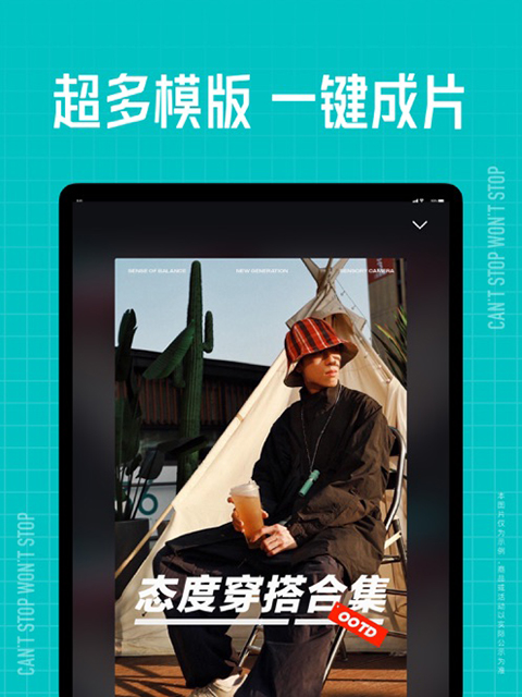 趴在向日葵茎秆上的英短猫憨态壁纸